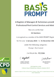 Basis-Prompt membership 2026